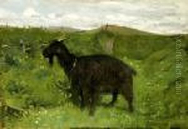 Capra - view 1