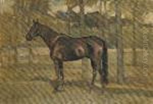 Cavallo - view 1