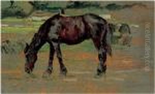 Cavallino - view 1