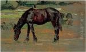 Cavallino by Ruggero Panerai