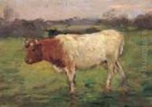 Pascolo Pascolo