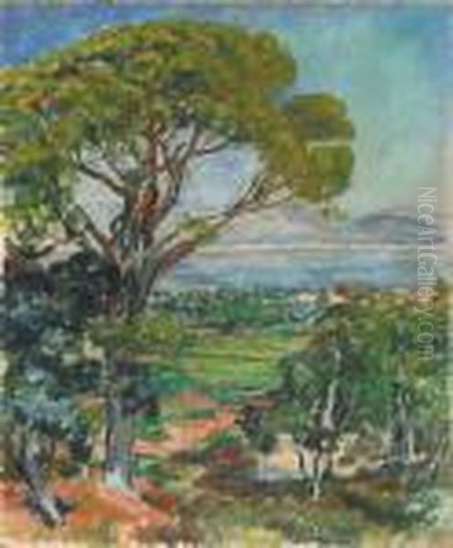 Pinia, 1909 R. - view 1