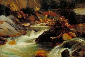 Landscape Study Landscape Study