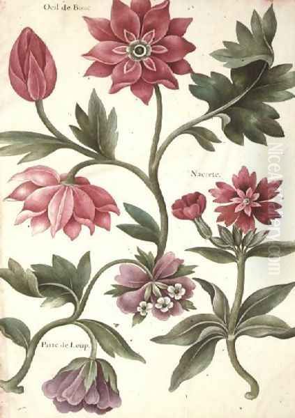 Stylised Study of Flowers by Nicolas Robert 1614-85 - view 1