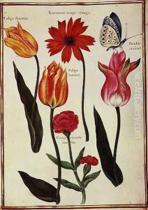 Tulips, Anemone, Lychnis and a Butterfly by Nicolas Robert