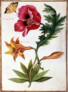Poppy and an Orange Lily by Nicolas Robert