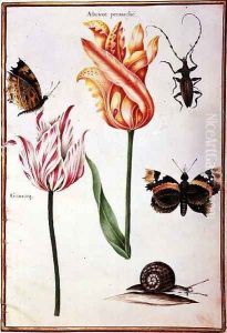 Two Broken Tulips, a Beetle, a Snail and two Butterflies by Nicolas Robert