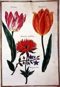 Two Broken Tulips, Anemone and a Blue Lily of the Valley by Nicolas Robert