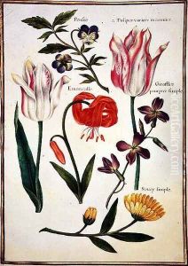 Two Broken Tulips, a Turkscap Lily and other Flowers by Nicolas Robert