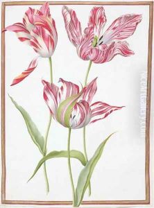 Three Broken Tulips by Nicolas Robert