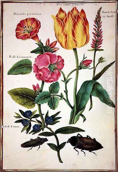 Flower Studies 2 - view 1