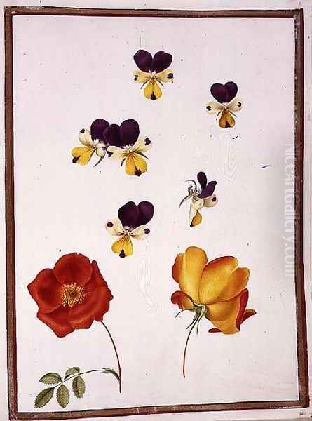 Six Heads of Pansies and Two Rosa Foetida Austrian Briar - view 1