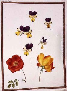 Six Heads of Pansies and Two Rosa Foetida Austrian Briar by Nicolas Robert