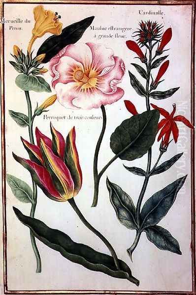 Flower Studies 6 - view 1