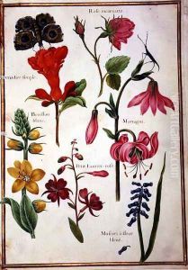 Flower Studies 3 by Nicolas Robert