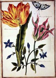 Two Broken Tulips and a Periwinkle by Nicolas Robert