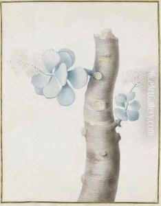 Blooming flowers on a branch of a succulent plant
