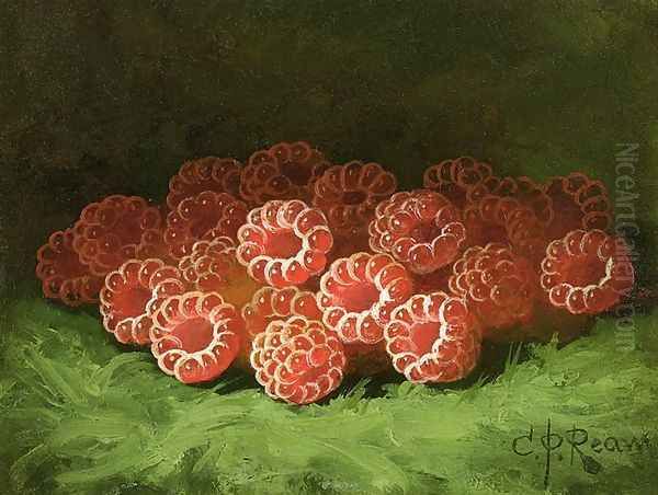 Still Life with Raspberies - view 1