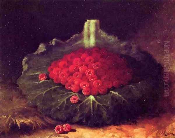 Raspberries - view 1
