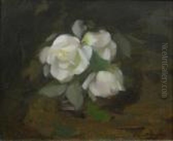 White Roses - view 1