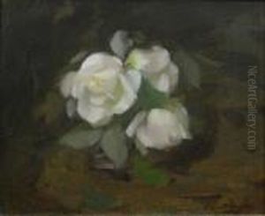 White Roses