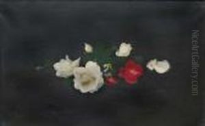 Still Life by James Stuart Park