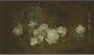 Cream Roses