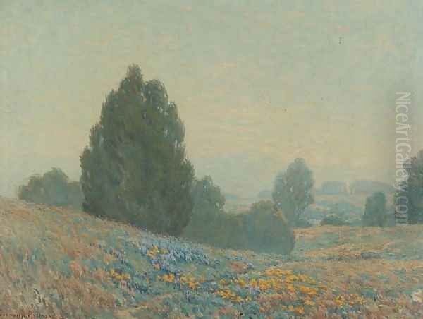Hills of Marin - view 1