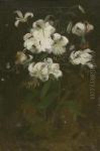 White Lilies