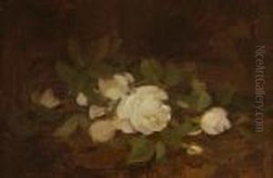 White Roses