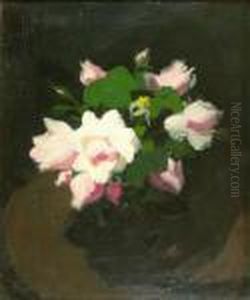 Pink Roses