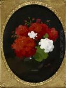 A Still Life Of Red And White Geraniums
