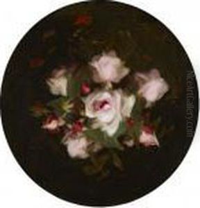 Pink Roses