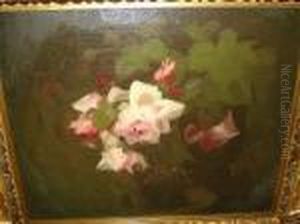 Pink Roses by James Stuart Park