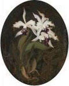 Irises
