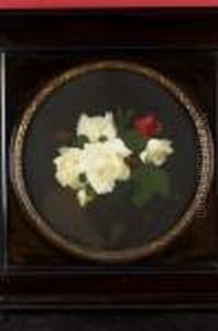 A Still Life Of Red And White Roses by James Stuart Park
