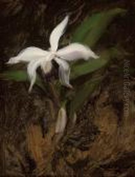 White Lily - view 1