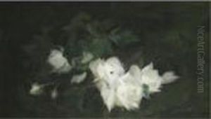 White Roses