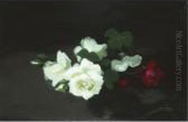 Red And White Roses - view 1