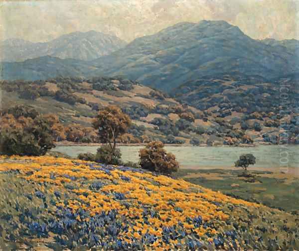 California Wild Flowers - view 1