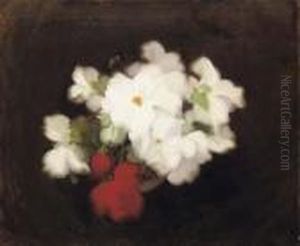 Begonias Begonias
