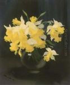 Daffodils