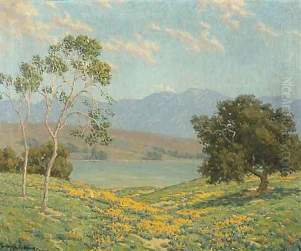 California Meadow - view 1