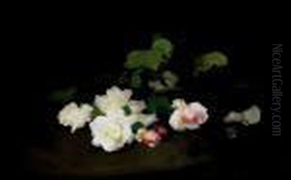 Still Life - view 1