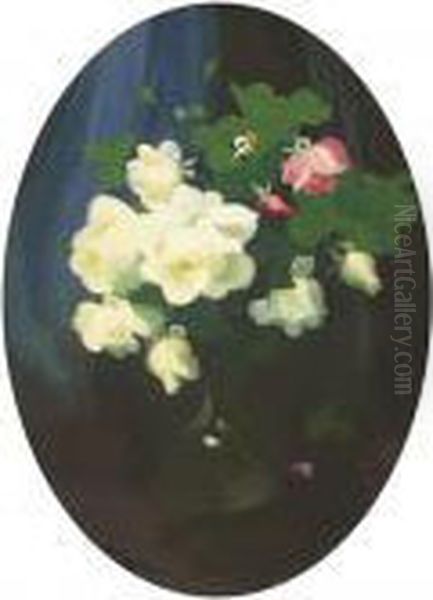 Red And White Roses - view 1
