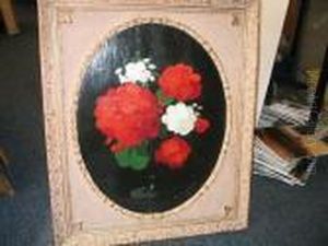 White And Red Geraniums