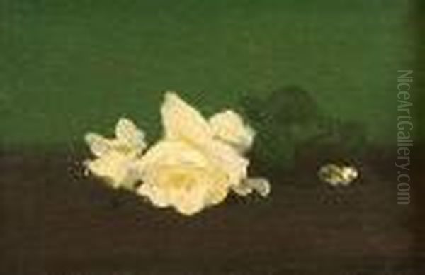 A Still Life Of White Roses - view 1