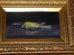 Dead Finch And Books by James Stuart Park