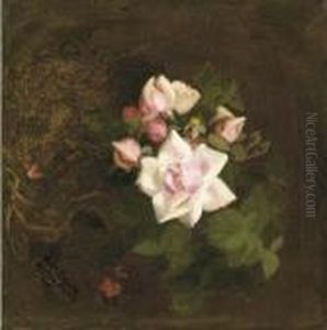 Pink Roses Pink Roses