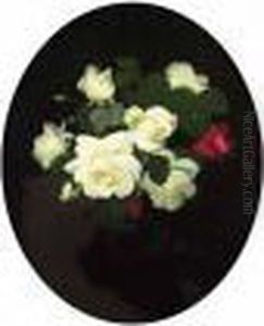 Red And White Roses by James Stuart Park